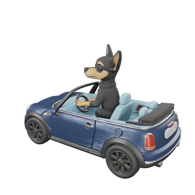 Chiweenie in a mini convertible