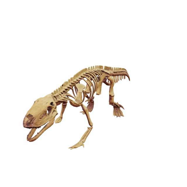 Dinosaur skeleton